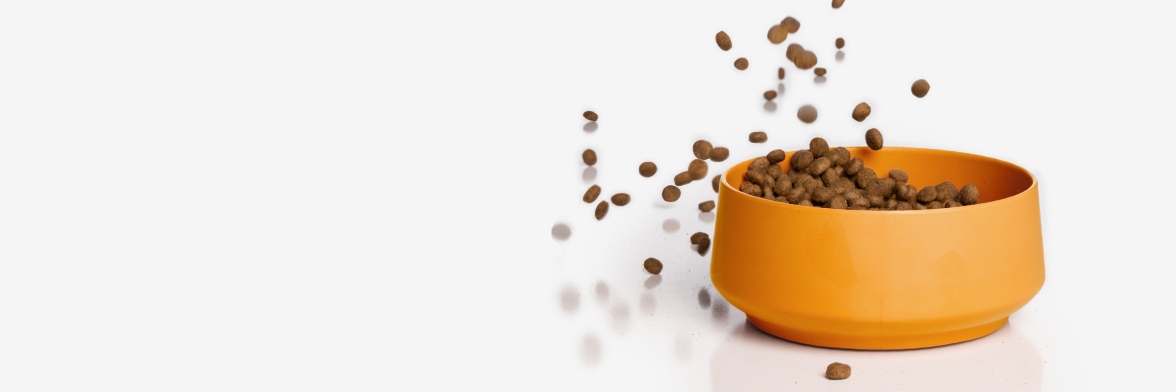 Why Virbac Pet Nutrition Virbac US